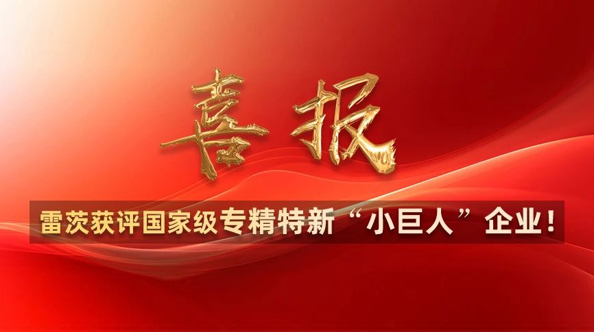 喜報：雷茨獲評國家級專精特新“小巨人”企業(yè)！